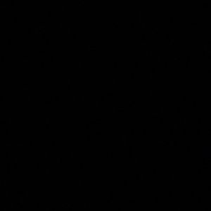 Meet your Posher, Ava